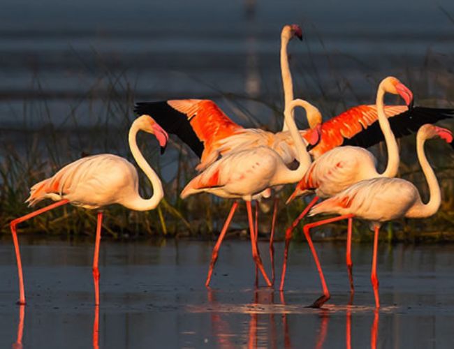 Untitled design (31)