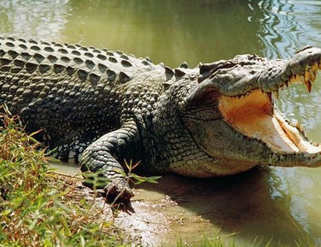 Untitled design (32)